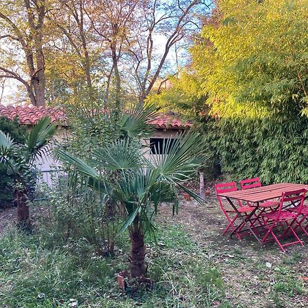 Un Jardin En Ville Toulouse Bagian luar foto
